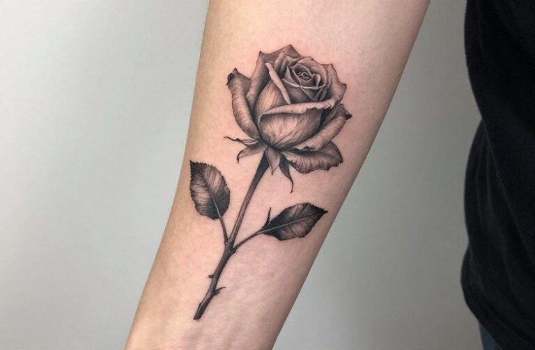 Dead Rose Drawing Tattoo Meaning: Symbolism & Design Guide