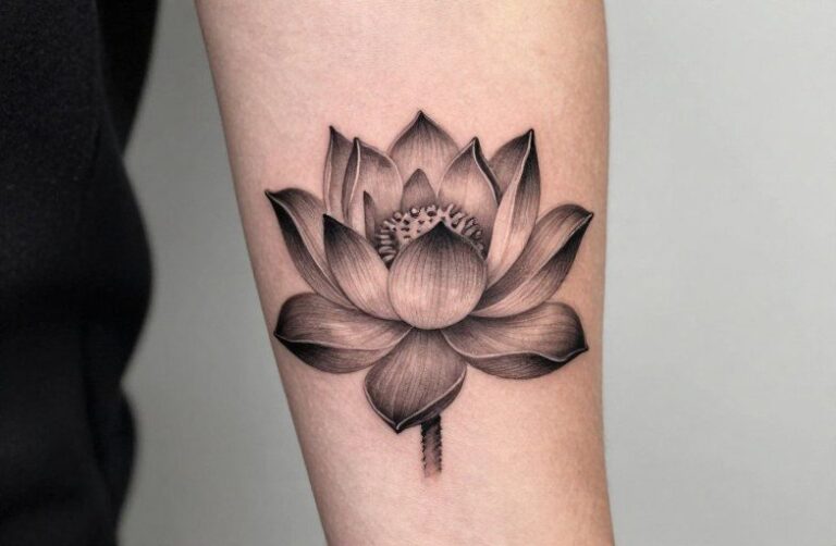 Lotus Flower Tattoo Meaning On A Woman: Symbolism & Design Guide