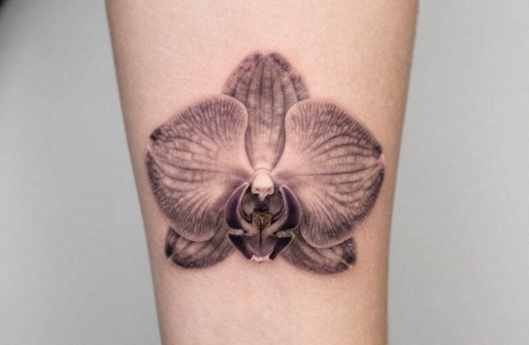 Orchid Flower Tattoo Meaning: Symbolism, Color, and Aging