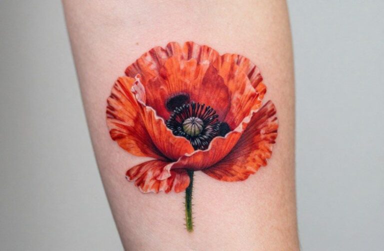 Poppy Flower Tattoo Meaning: Memory, Sleep & Rebirth