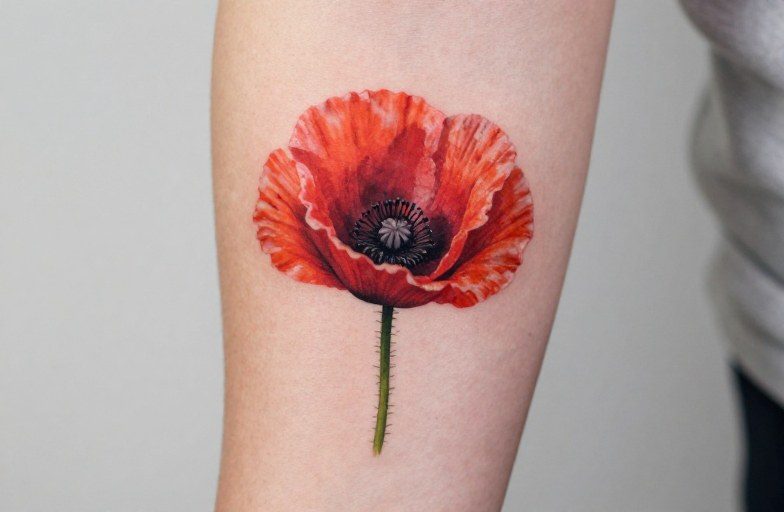 Wild Poppy Tattoo Meaning: Sleep, Peace & Memory