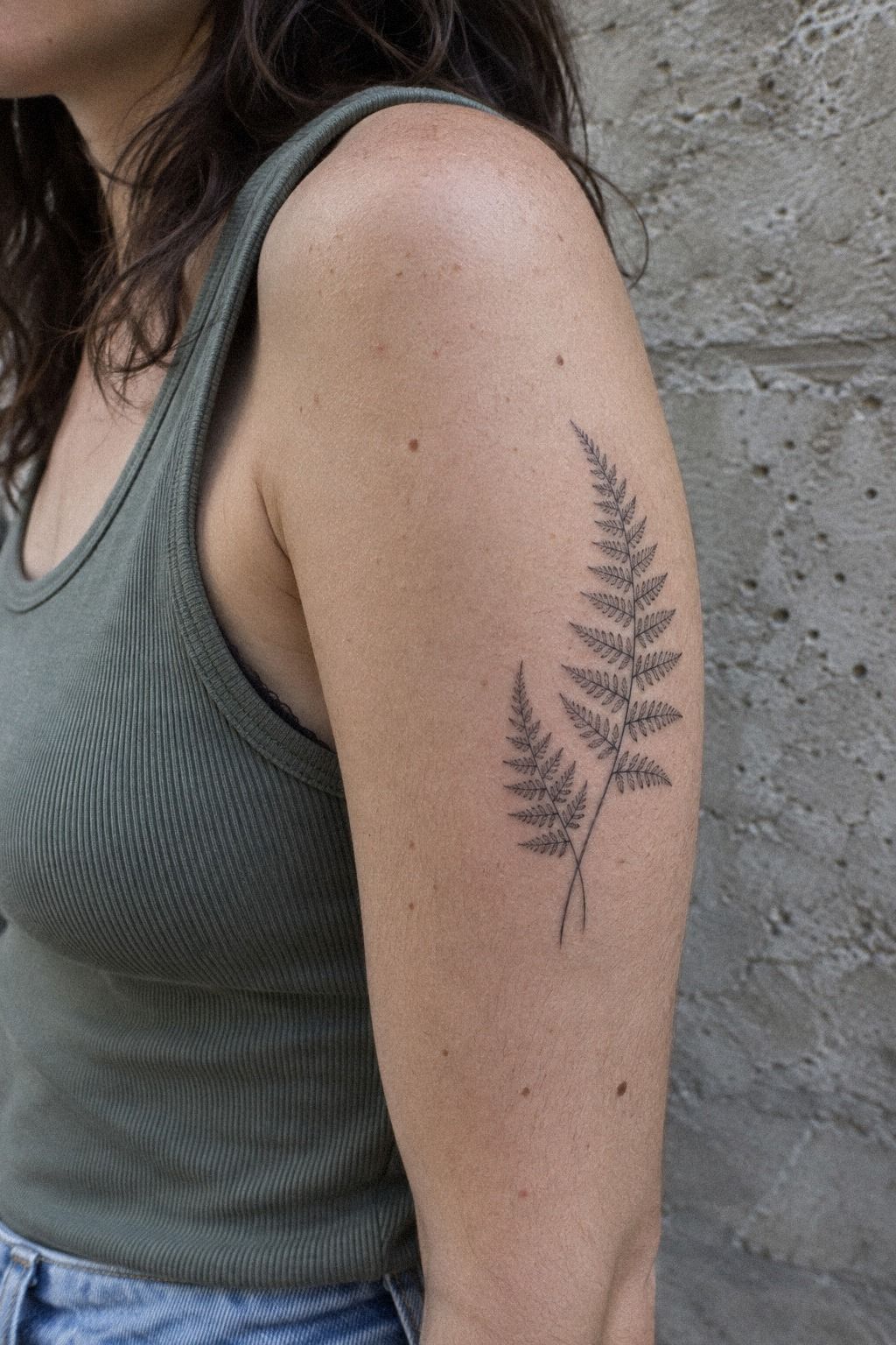 Fern Fronds and Leaf Rhythm