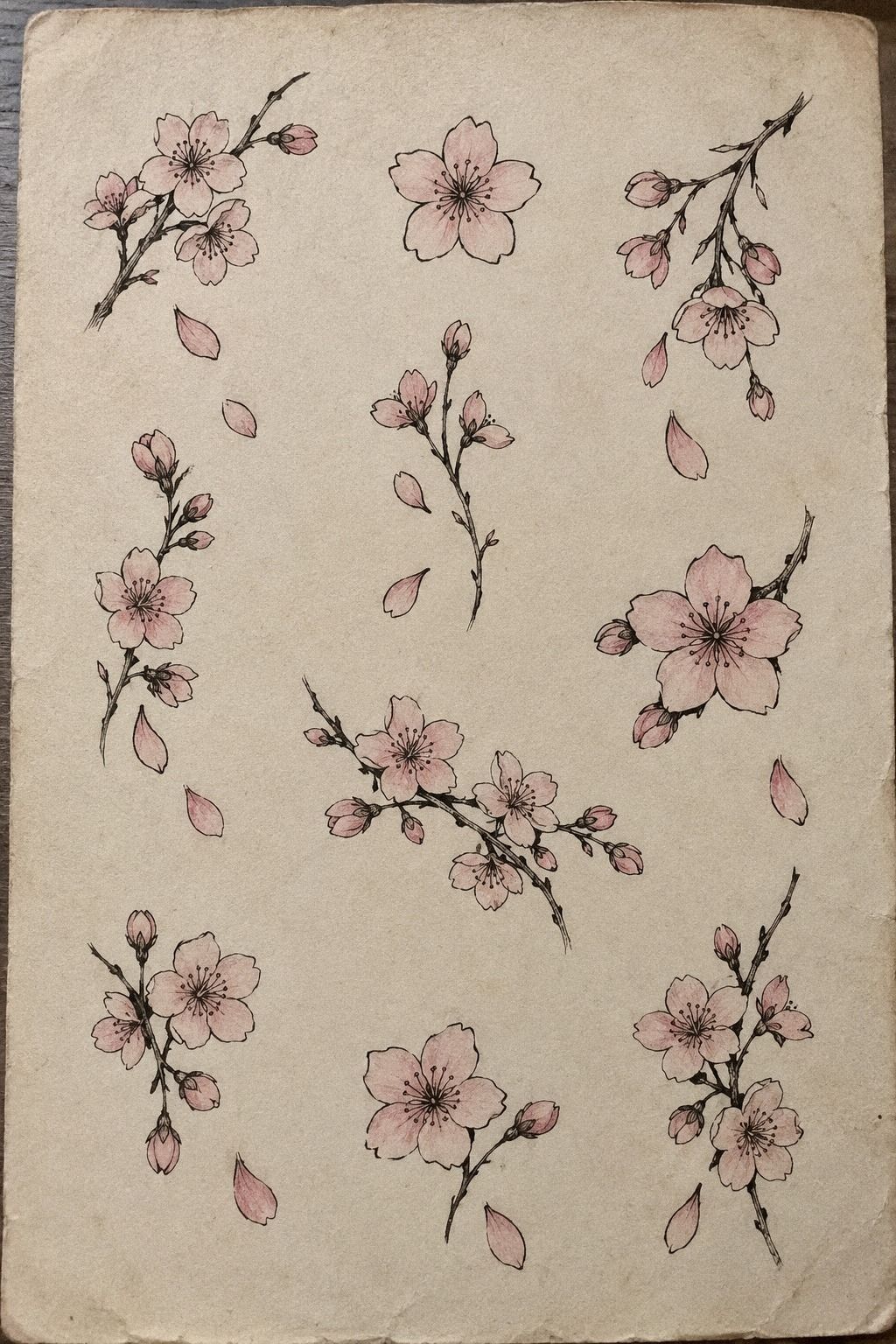 Let Falling Petals Create Movement